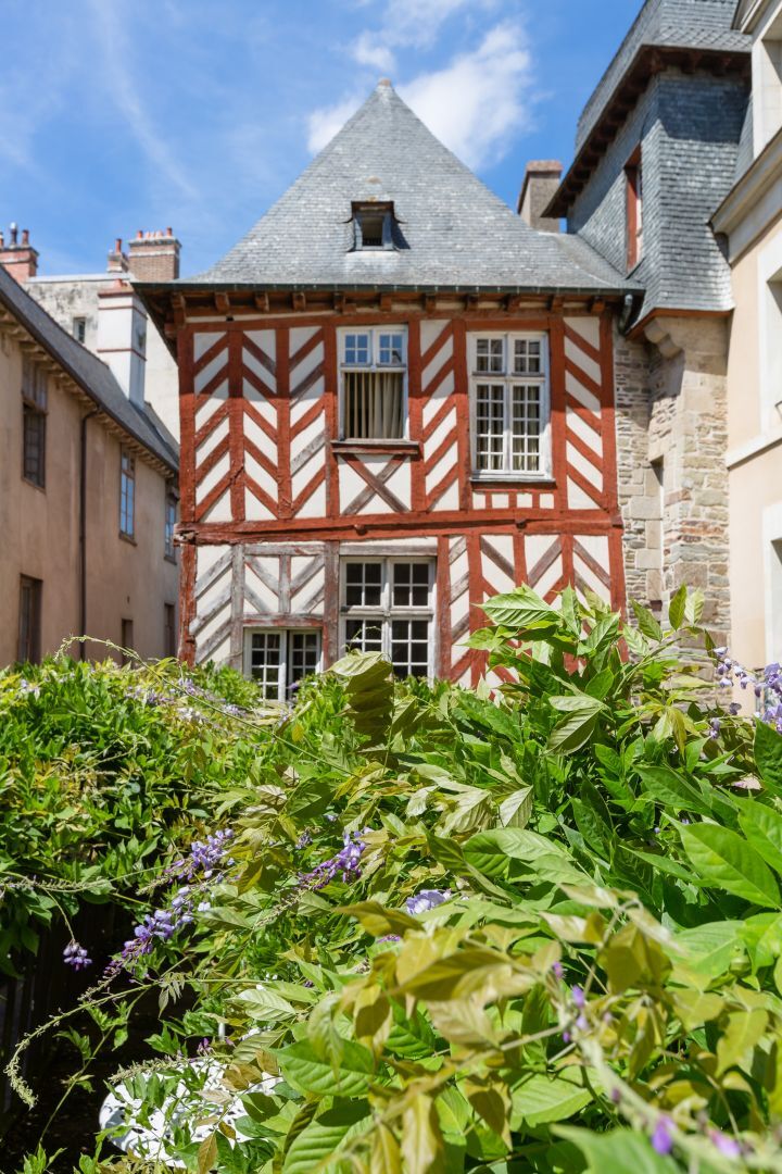 Au Bonheur Des Dames By Cocoonr Appartement Rennes